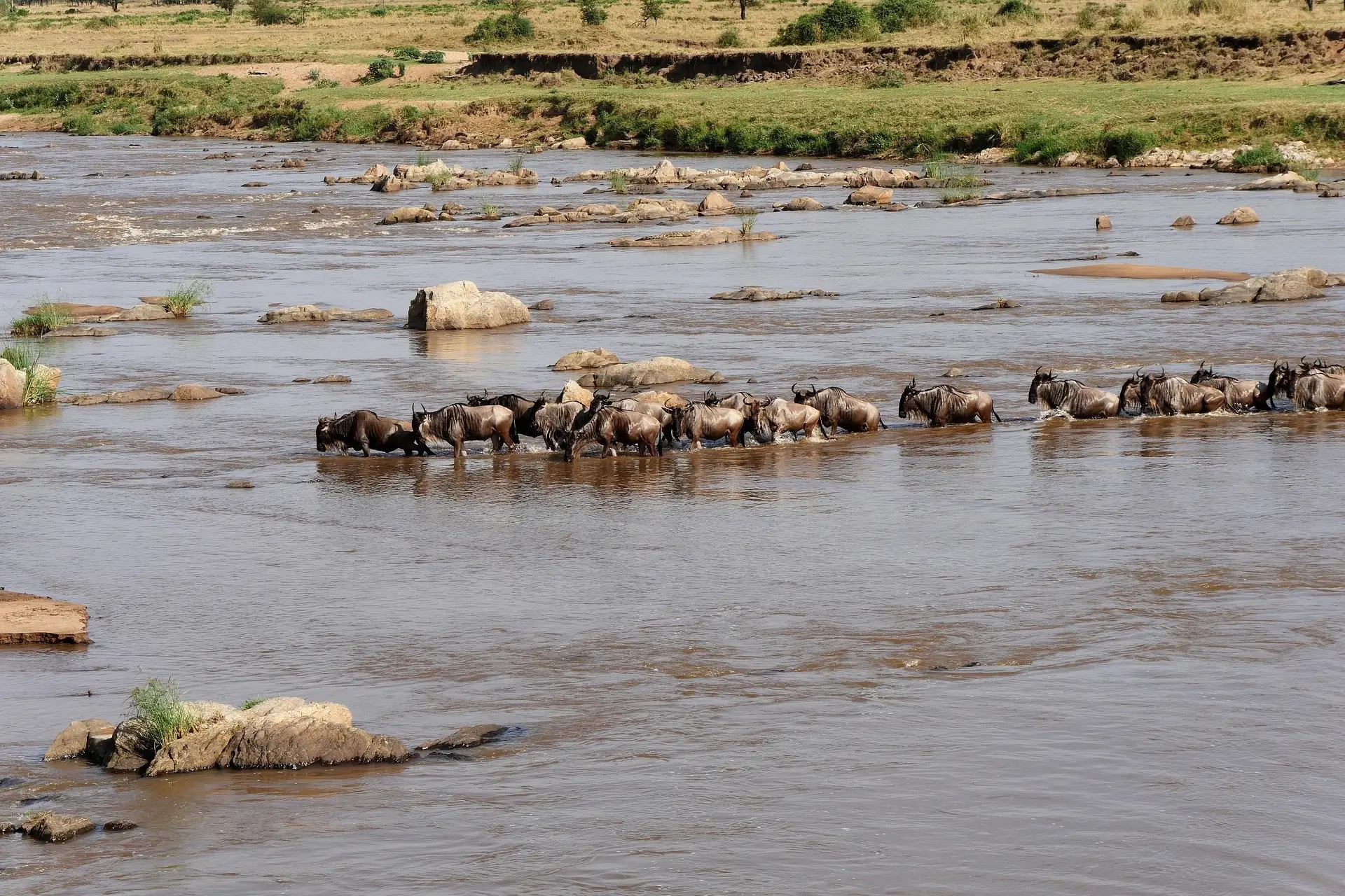 Traversée rivière Mara