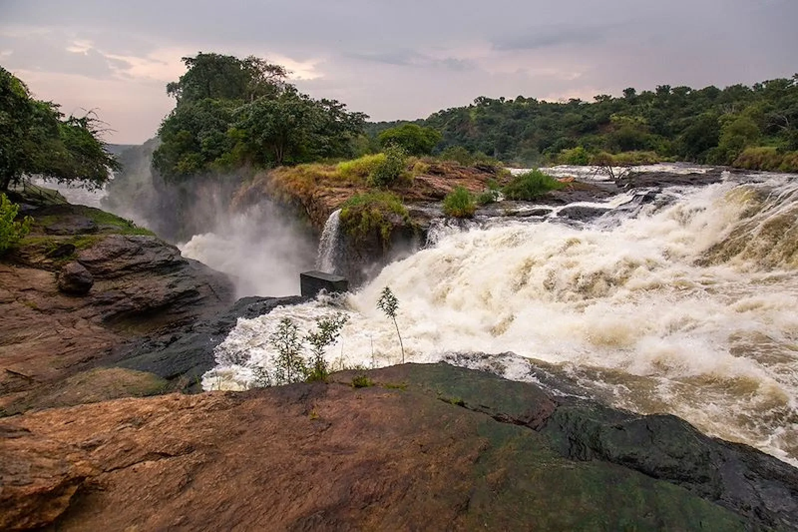 Uganda