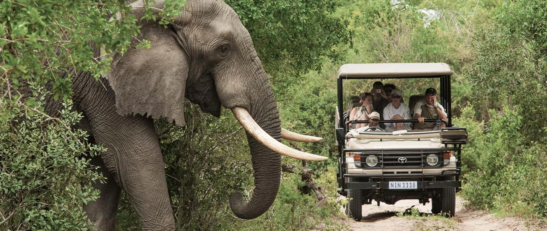 Was gehört ins Gepäck für eine Nebensaison-Safari