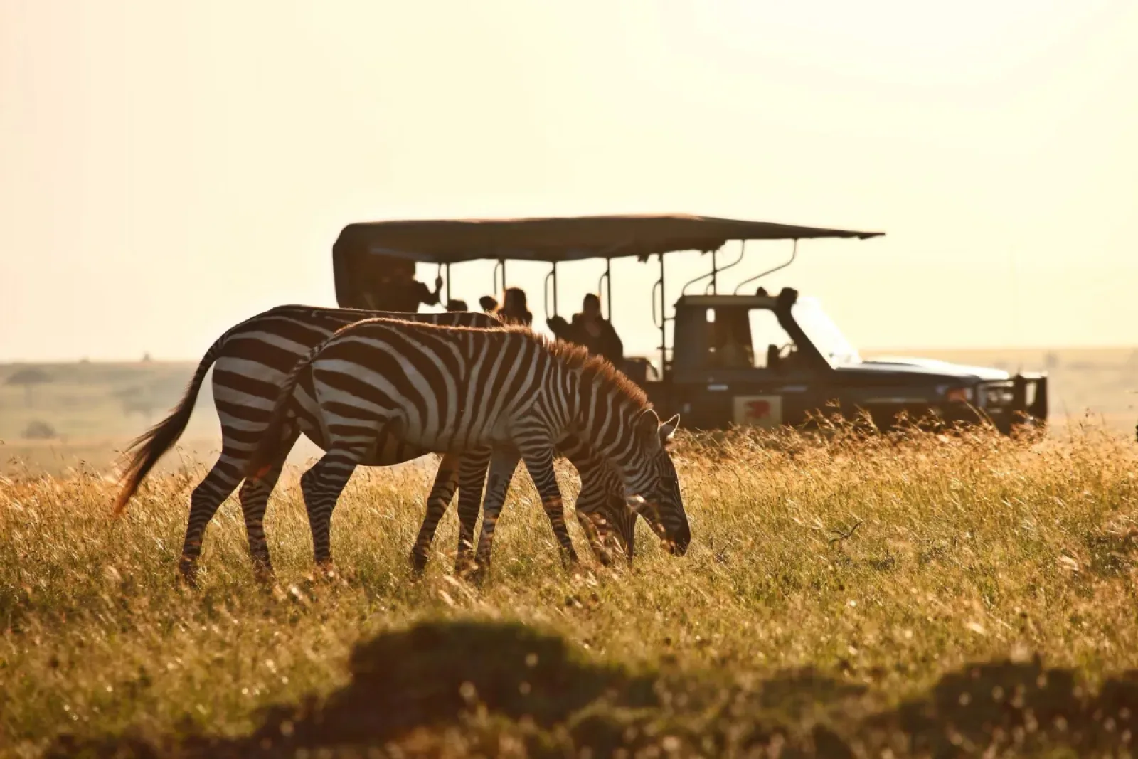 Was kostet eine Safari Reiseversicherung