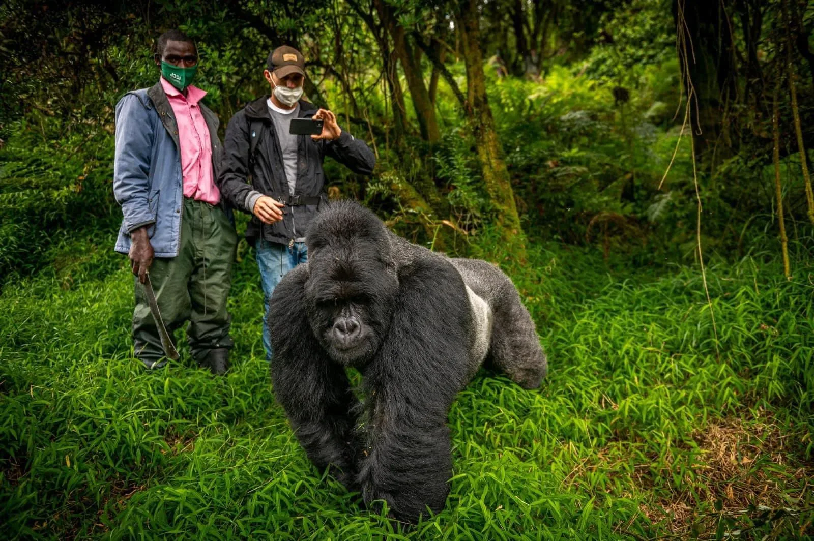 Welche Hose beim Gorilla Trekking