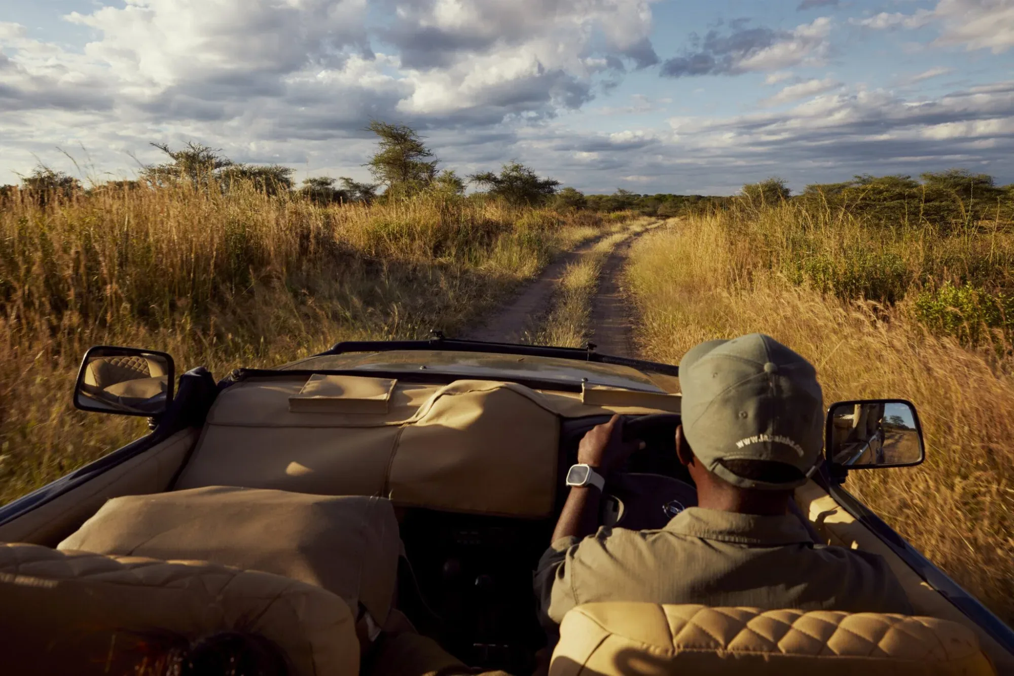 Wildebeest migration in Masai Mara