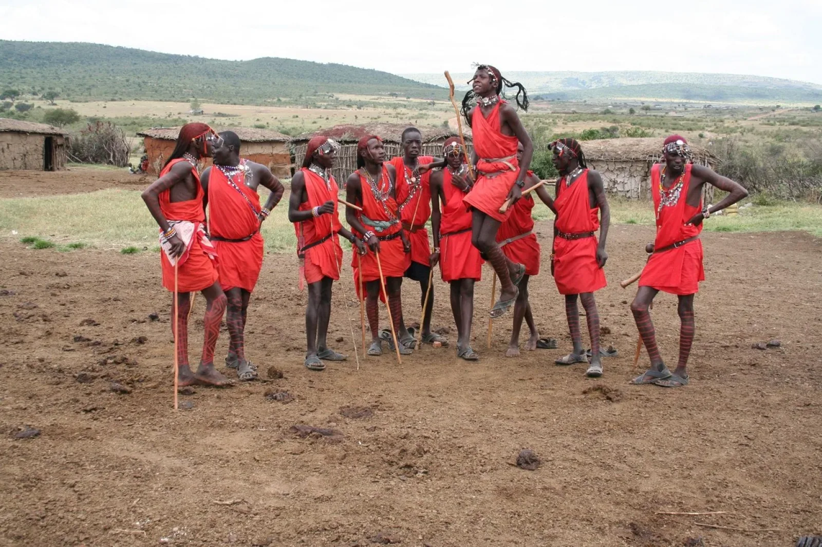 Wildebeest migration in Masai Mara