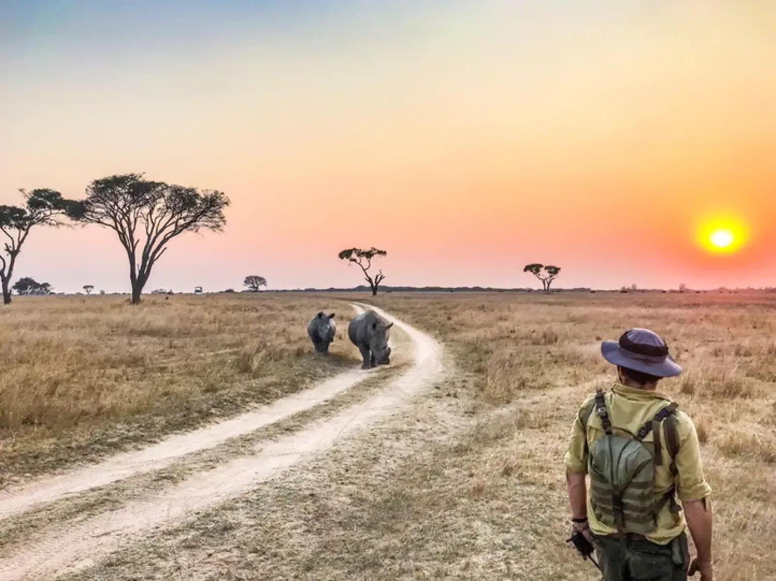 Wildlife in Kibale
