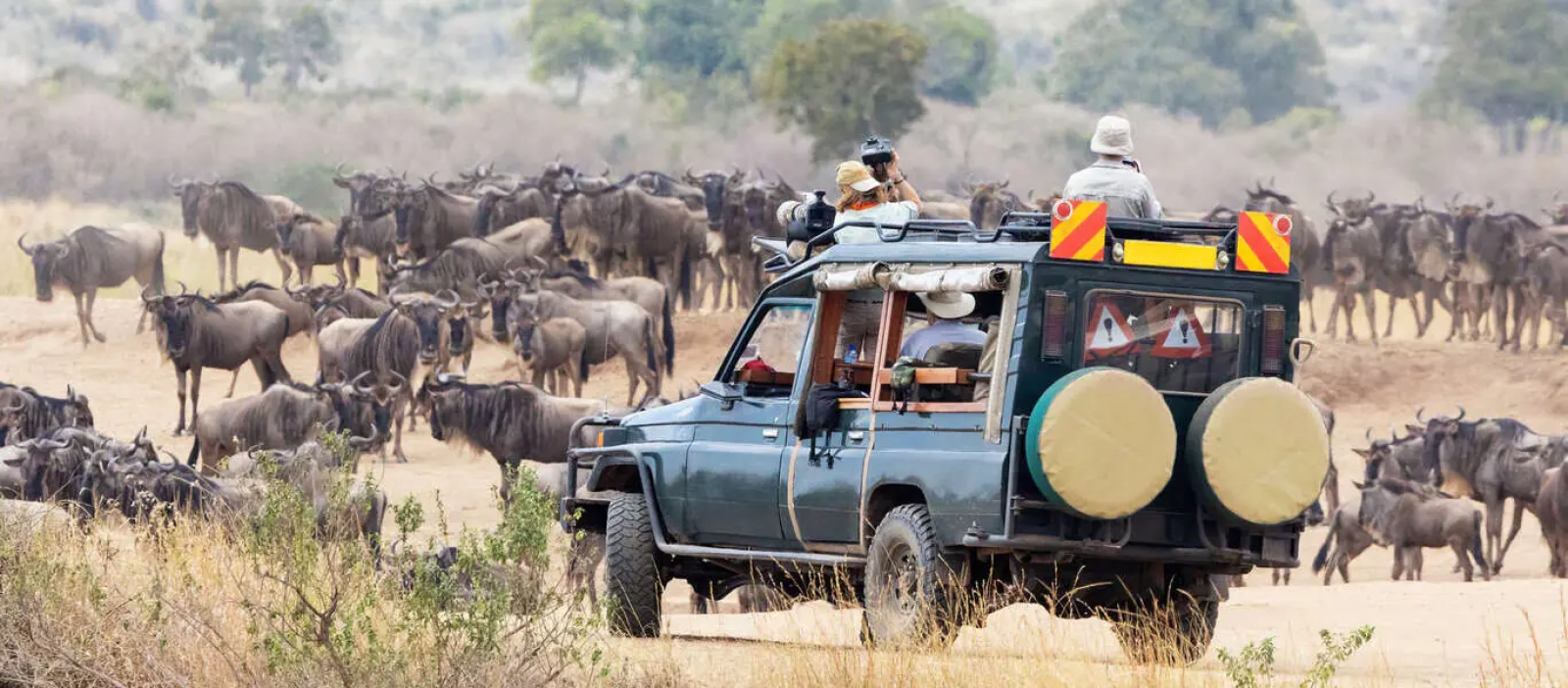 Wildlife photography in Kenya