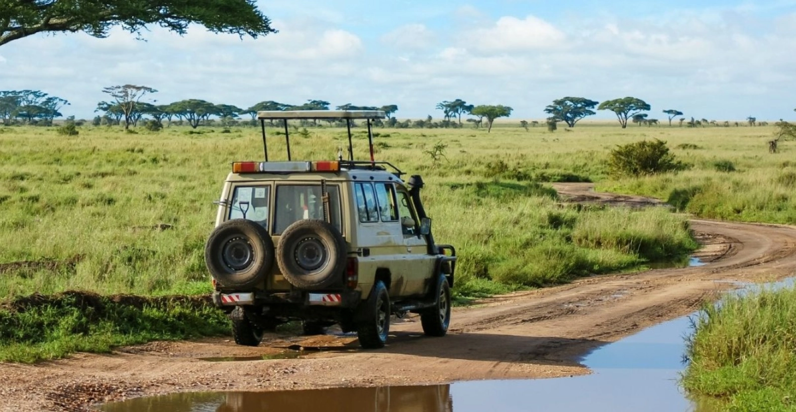 Wildlife photography in Uganda