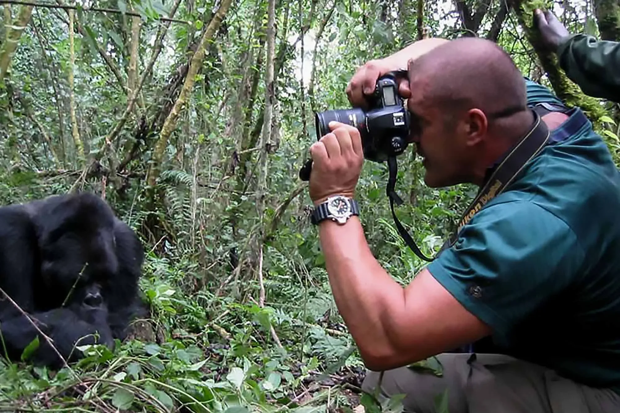 Wildlife photography in Uganda