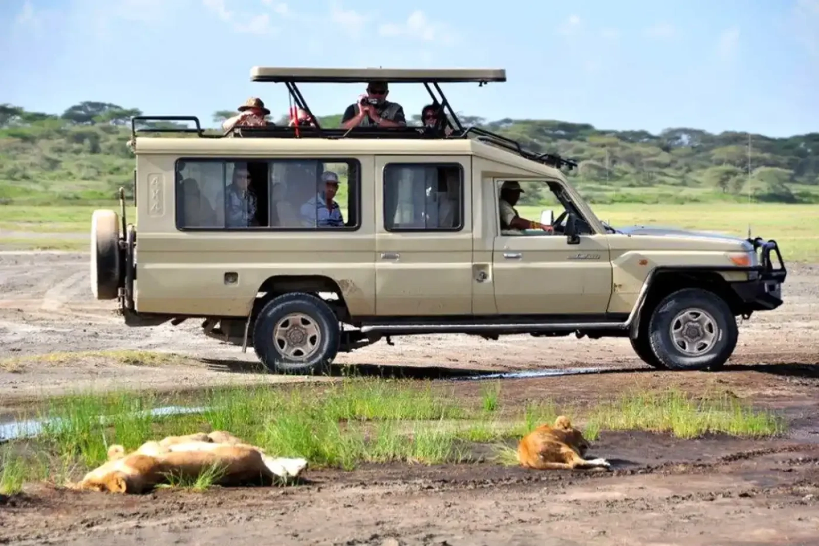 Wildlife photography on safari