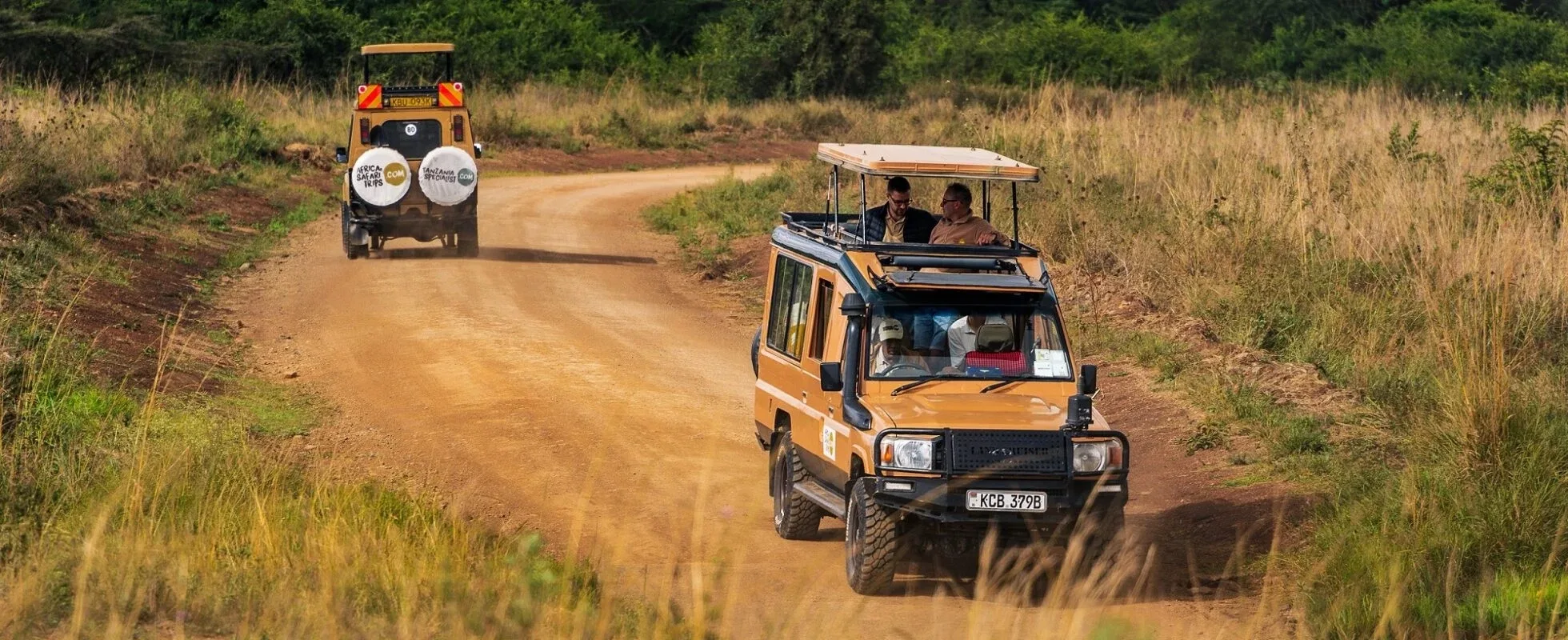 Wildlife photography on safari