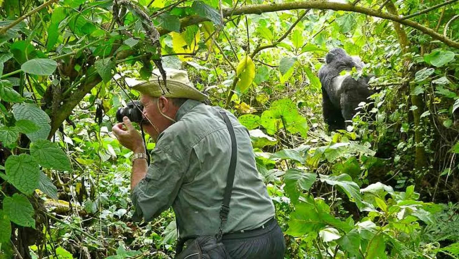 Wildlife photography without flash in Uganda